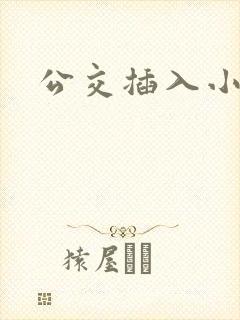 公交插入小说