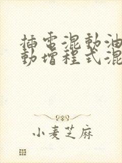 插电混动油电混动增程式混动哪个好