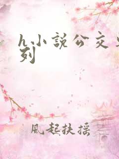 h小说公交车系列