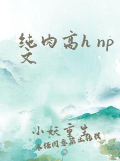 纯肉高h np文