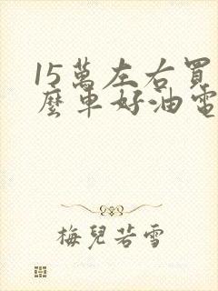 15万左右买什么车好油电混