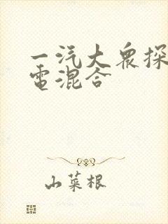 一汽大众探岳油电混合