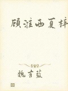 顾淮西夏梓木