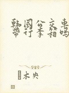 韩国公交车可以带行李箱吗
