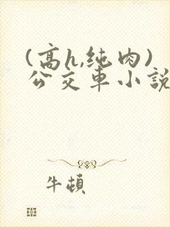 (高h,纯肉)公交车小说