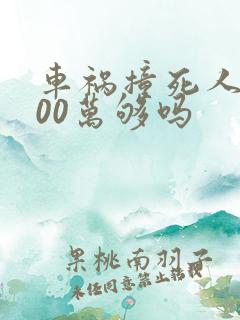 车祸撞死人赔200万够吗