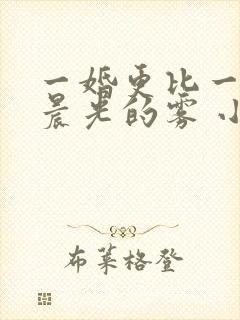 一婚更比一婚高晨光的雾 小说免费阅读