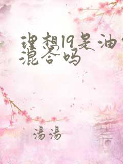 理想l9是油电混合吗