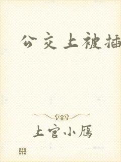 公交上被插小说
