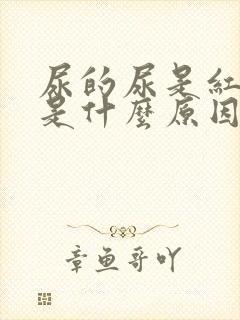 尿的尿是红色的是什么原因