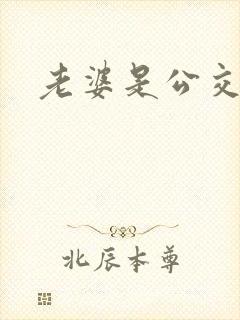 老婆是公交车