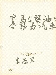 宝马5系油电混合动力汽车价格