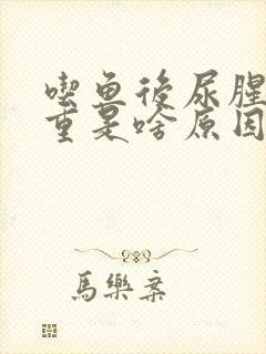 吃鱼后尿腥味很重是啥原因