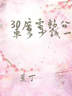 30座电动公交车多少钱一辆