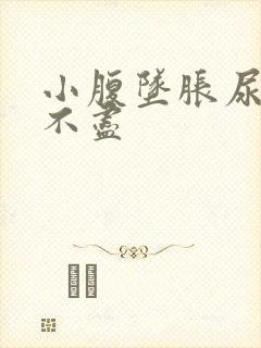 小腹坠胀尿频尿不尽