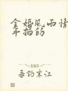 金婚风雨情是哪年拍的