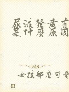 尿液发黄有泡泡是什么原因