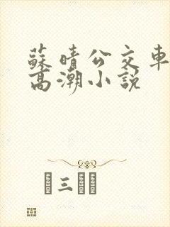 苏晴公交车被弄高潮小说