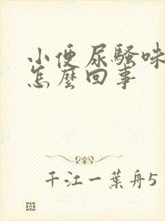 小便尿骚味大是怎么回事