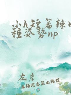 小h短篇辣肉各种姿势np