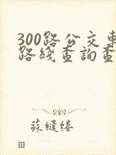300路公交车路线查询查
