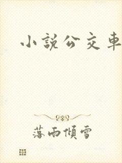 小说公交车诗晴