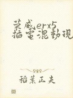 荣威erx5 插电混动现在价格