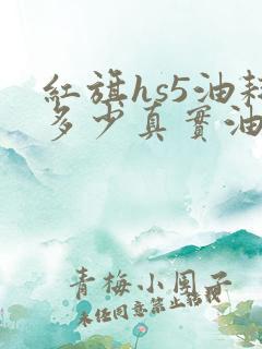 红旗hs5油耗多少真实油耗