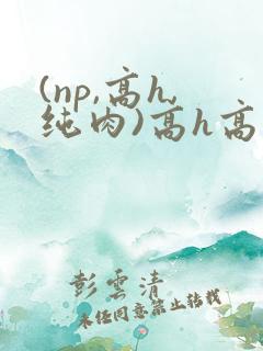 (np,高h,纯肉)高h高辣文