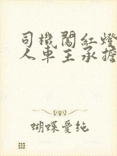 司机闯红灯撞死人车主承担啥责任