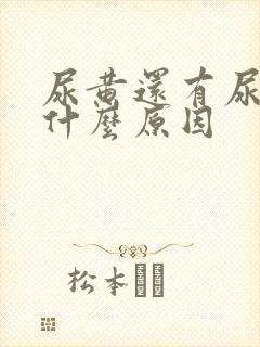 尿黄还有尿骚味什么原因
