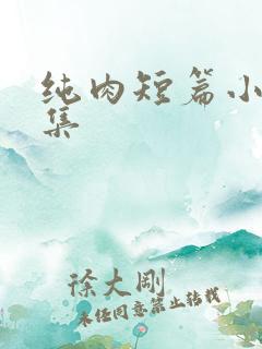 纯肉短篇小说合集