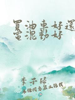 买油车好还是油电混动好