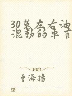 30万左右油电混动的车有哪些