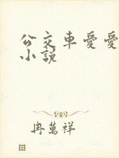 公交车爱爱口述小说