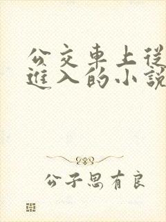 公交车上从后面进入的小说