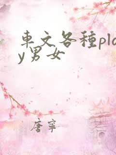 车文各种play男女