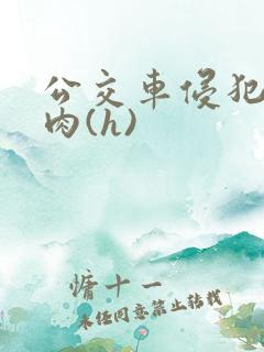 公交车侵犯直男肉(h)