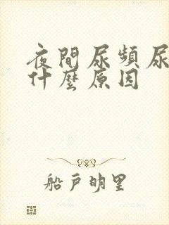 夜间尿频尿多是什么原因
