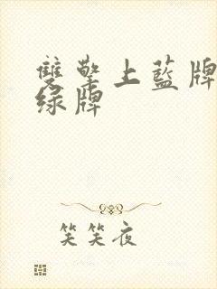 双擎上蓝牌还是绿牌