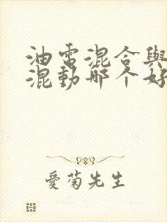 油电混合与插电混动哪个好
