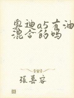 奥迪a5有油电混合的吗