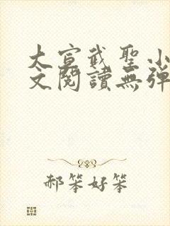 大宣武圣小说全文阅读无弹窗