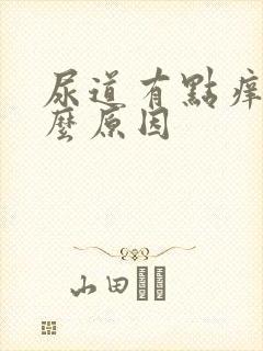 尿道有点痒是什么原因