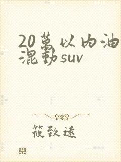 20万以内油电混动suv