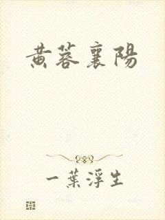 黄蓉襄阳