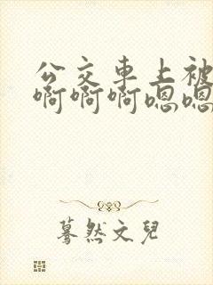 公交车上被嗯嗯啊啊啊嗯嗯小说