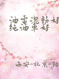 油电混动好还是纯油车好