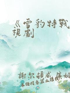 《雪豹特战》电视剧