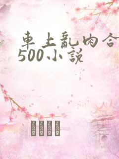 车上乱肉合集乱500小说
